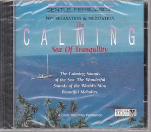 The Calming - Sea of tranquility