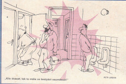 dikobraz_9.leden_1991__15_