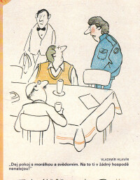 dikobraz_9.leden_1991__14_