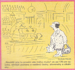 dikobraz_9.leden_1991__12_