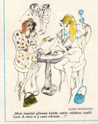 dikobraz_9.leden_1991__7_