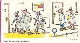 dikobraz_leden_1989__4_