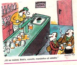 dikobraz_leden_1989__8_