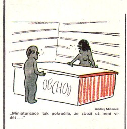 dikobraz_leden_1989__14_