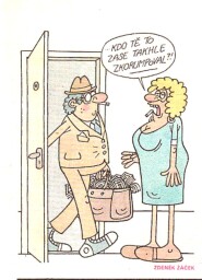 dikobraz_5_1992___7_