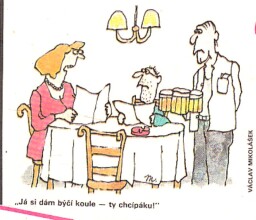 dikobraz_5_1992___14_