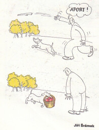 magazin_dikobrazu_90__3_0019