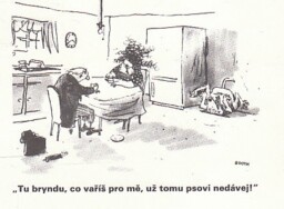 magazin_dikobrazu_90__3_0038