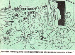 magazin_dikobrazu_3_93__29_