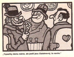 magazin_dikobrazu_3_93__19_