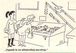 magazin_dikobrazu_3_93__12_