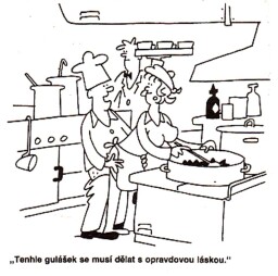 magazin_dikobrazum_4_93__34_