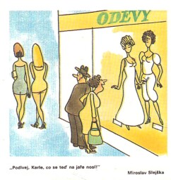 magazin_dikobrazu_1_89__47_