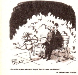 magazin_dikobrazu_1_89__24_