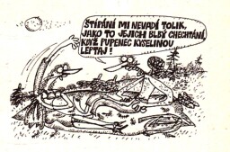 magazin_dikobrazu_1_89__17_