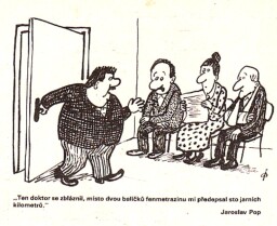 magazin_dikobrazu_1_89__12_