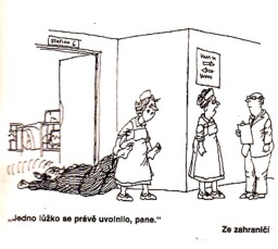 magazin_dikobrazu__27_