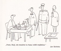 magazin_dikobrazu__19_