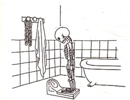 magazin_dikobrazu__5_