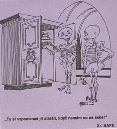 magazin_dikobrazu__3_