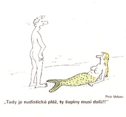 humor_z_dikobrazu__56_