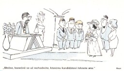 humor_z_dikobrazu__47_