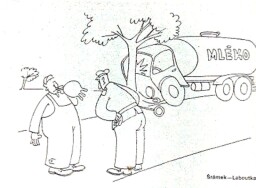 humor_z_dikobrazu__44_