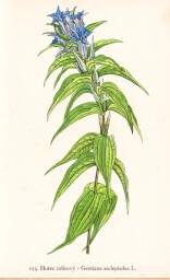 rostliny_kolem_nas__153_