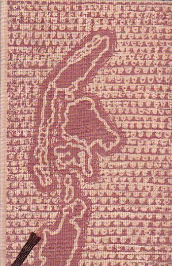 Ostrovy budoucnosti od Dagmar Bothasová