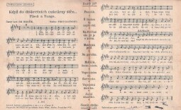 Osadní písně z kytarovým doprovodem. Když do diskretních cukrárny stěn...