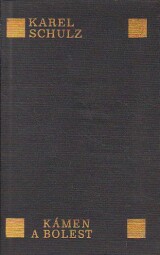 Kámen a bolest od Karel Schulz