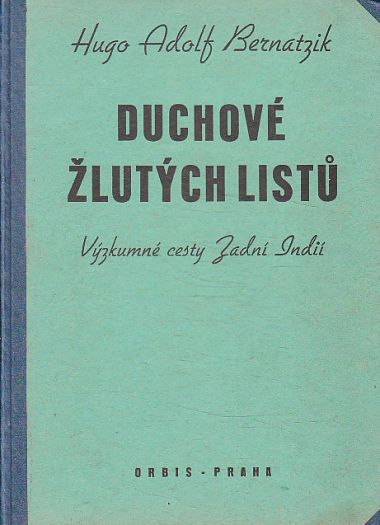 Duchové žlutých listů od Hugo Adolf Bernatzik