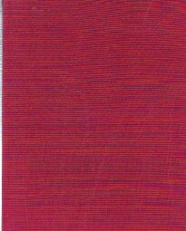 Nad hrady a zámky od Dobroslava Menclová, Eugen Vasiliak