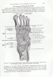 Chirurgie operace v němčině.