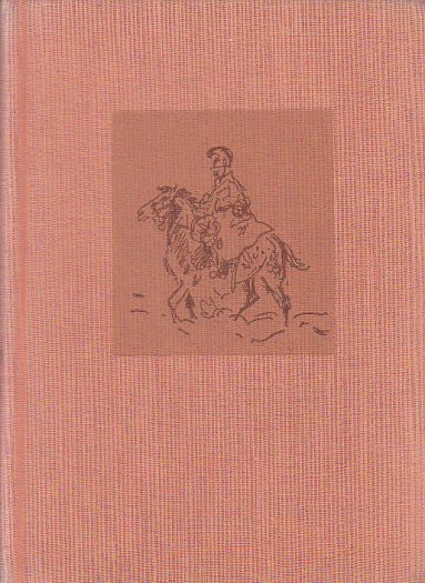 Mládeži od Mikoláš Aleš