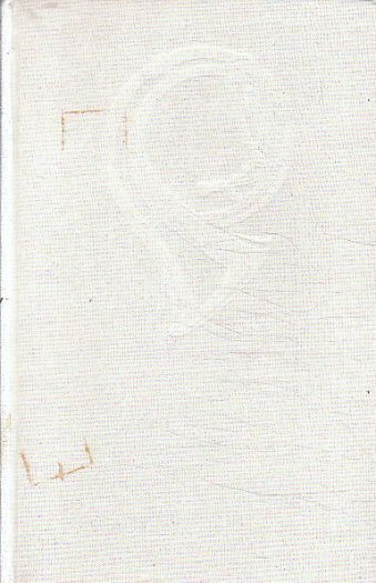 Kolibřík od Peter de Vries