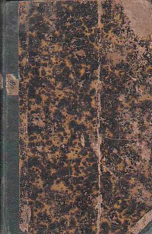 Panna Orleanská od Vilém Gabler