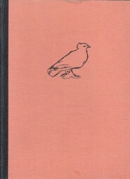 Německé jaro od Ludvík Aškenazy