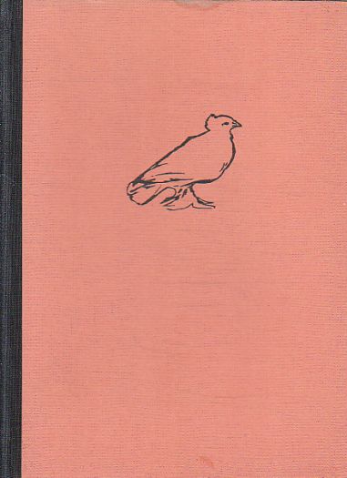 Německé jaro od Ludvík Aškenazy