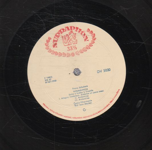 Nedokončená, Rosamunda