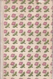 Městečko na dlani od Jan Drda