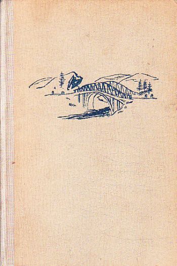 Most nad strží od Antoni Olcha