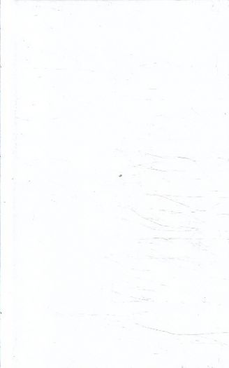 Věže Svatého Ducha. Díl první, Moc Marií od Olga Walló