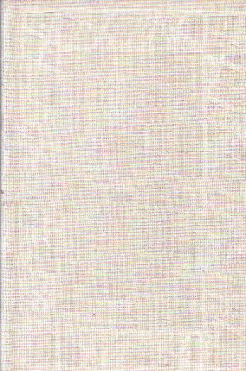 Plamen a vítr od Karel Nový (p)