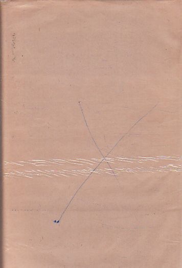 Kámen a bolest od Karel Schulz