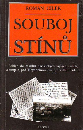 Souboj stínů od Roman Cílek