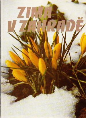 Zima v zahradě nakl. Artia, 1981