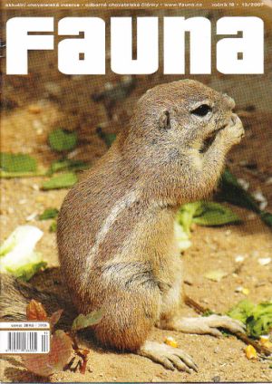 Fauna 13/2007