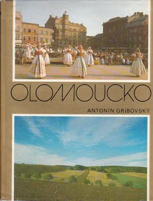 Olomoucko od Antonín Gribovský.