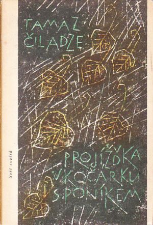 Projíždka v kočárku s poníkem od Tamaz Ivanovič Čiladze